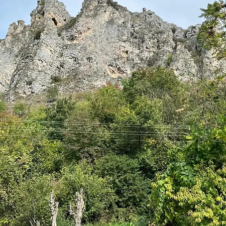 Séjour à la ferme Organska Farma Nebesa Vrmdza