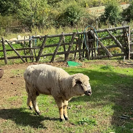 בית חווה Organska Farma Nebesa *