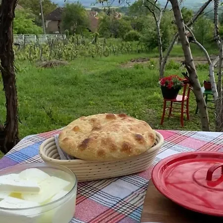 Organska Farma Nebesa