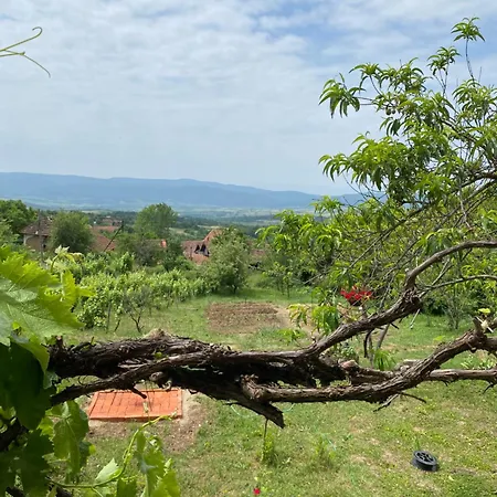 Organska Farma Nebesa