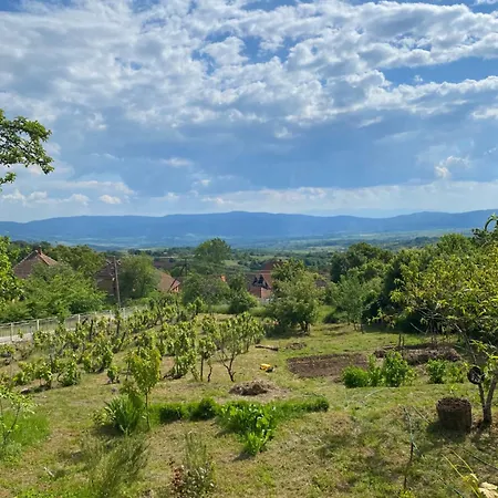 Organska Farma Nebesa *