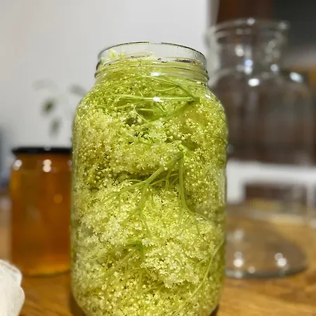בית חווה Organska Farma Nebesa *