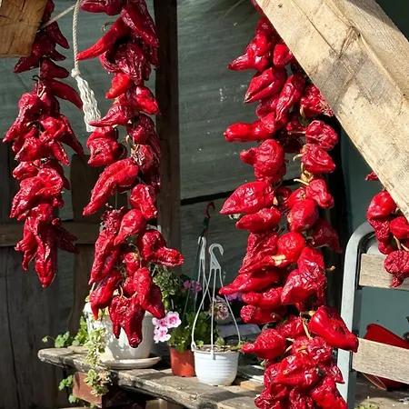 Organska Farma Nebesa *
