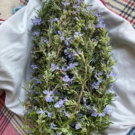 בית חווה Organska Farma Nebesa
