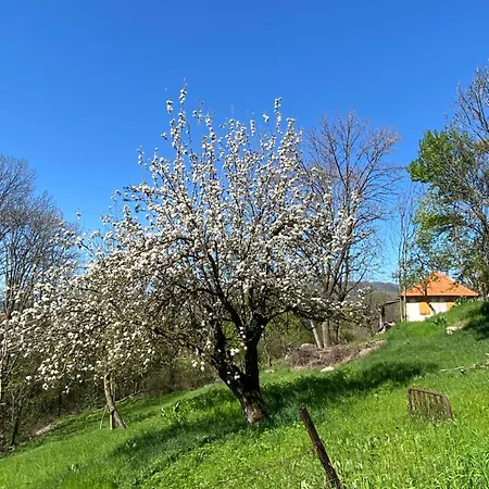 Séjour à la ferme Organska Farma Nebesa Vrmdza