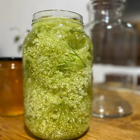 Organska Farma Nebesa