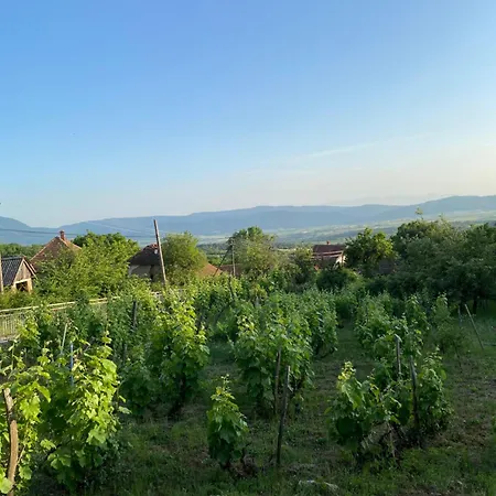Organska Farma Nebesa *