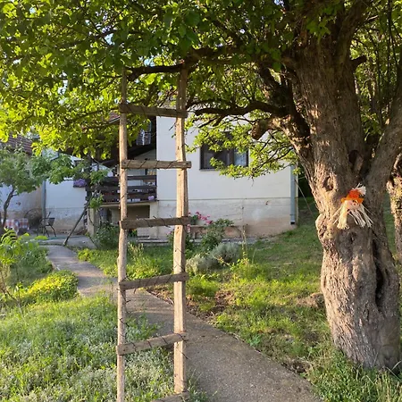 Organska Farma Nebesa * Vrmdza