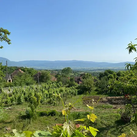 Organska Farma Nebesa * Vrmdza