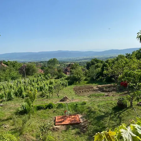 Organska Farma Nebesa *