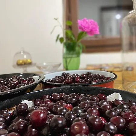 Séjour à la ferme Organska Farma Nebesa *