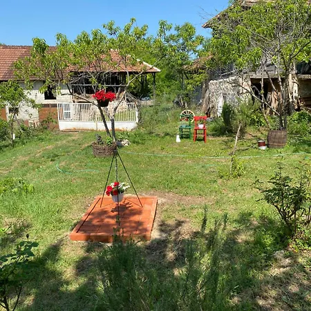 Organska Farma Nebesa Séjour à la ferme Vrmdza
