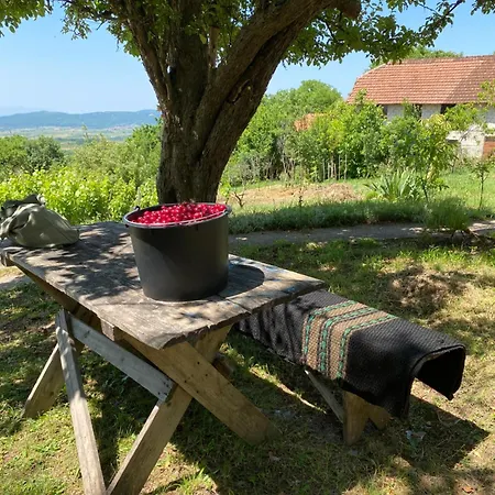 Organska Farma Nebesa * Vrmdza