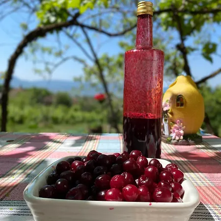 Organska Farma Nebesa בית חווה Vrmdza