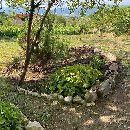 Organska Farma Nebesa Vrmdza